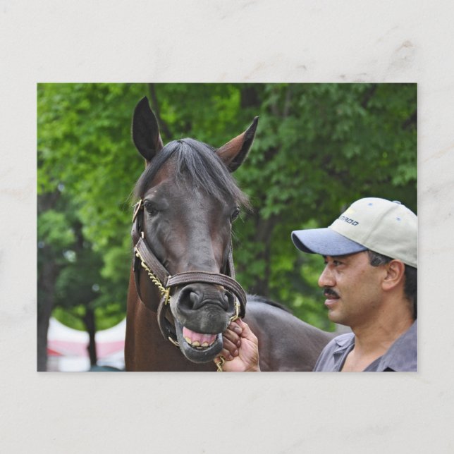 Southern Equine Stables - Open Water Postcard (Front)