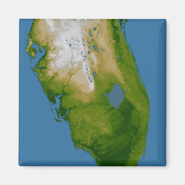 Southern Florida Magnet (Front)
