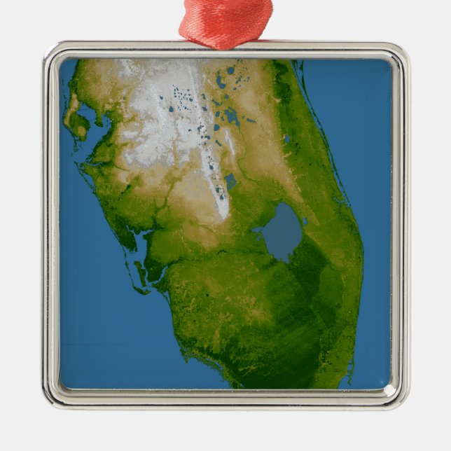 Southern Florida Metal Ornament (Front)