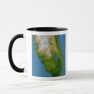 Southern Florida Mug
