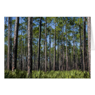 Southern Forest Card