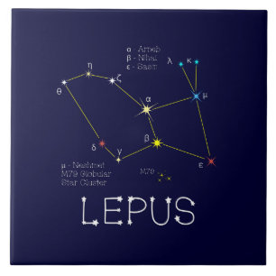 Southern Hemisphere Constellation Lepus Tile