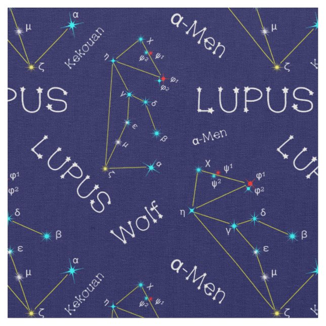 Southern Hemisphere Constellation Lupus Fabric (Close Up)