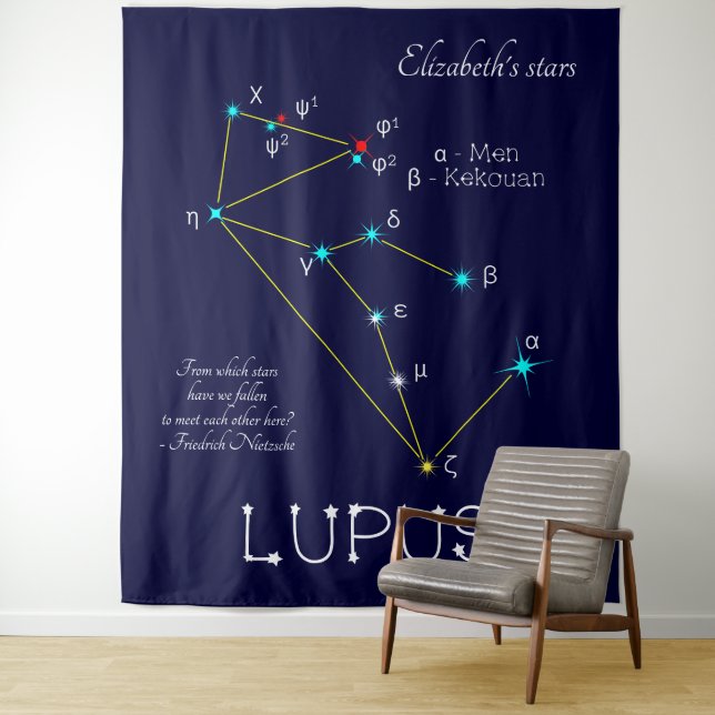 Southern Hemisphere Constellation Lupus Tapestry (In Situ)