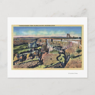 Southern Idaho - Famous Sinking Farm in Salmon Postcard