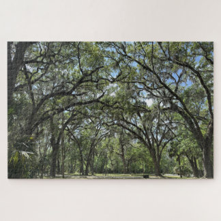 Southern Live Oak canopy Jigsaw Puzzle