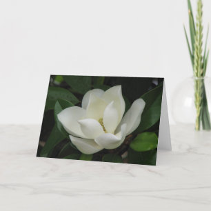 Southern Magnolia Bloom Card