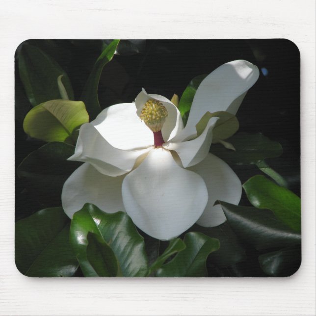 Southern Magnolia Mouse Pad (Front)