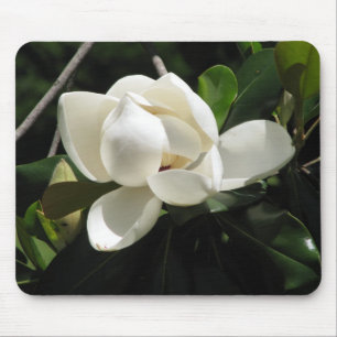Southern Magnolia Mouse Pad