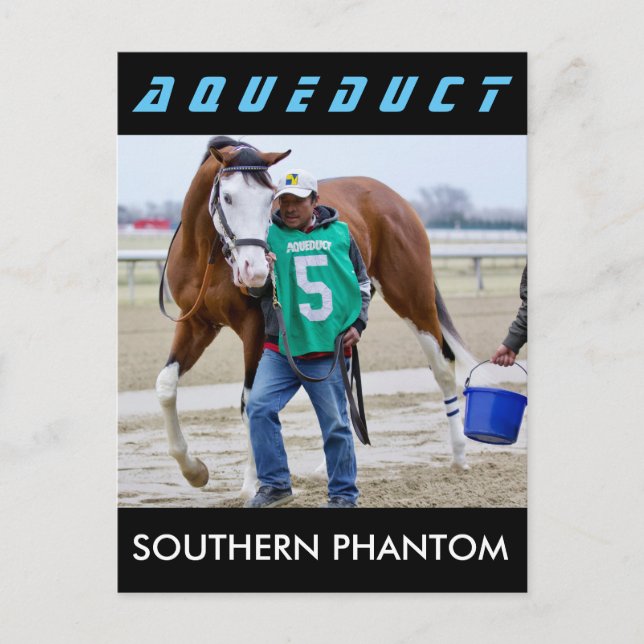 Southern Phantom Postcard (Front)