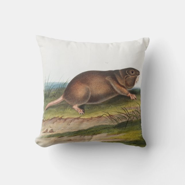 Southern Pouched Rat, Shrew Mole Illustration Throw Pillow (Front)
