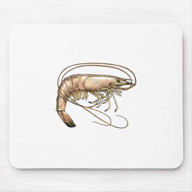 Southern Shrimp Art Mouse Pad (Front)