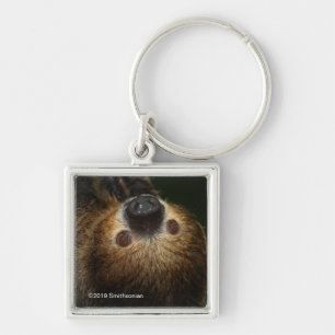 Southern Two-Toed Sloth Keychain