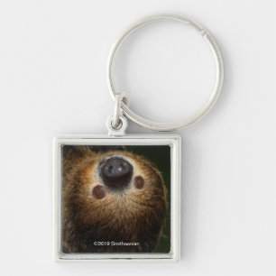 Southern Two-Toed Sloth Keychain