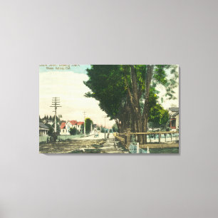 Southern View from Auburn Street Canvas Print