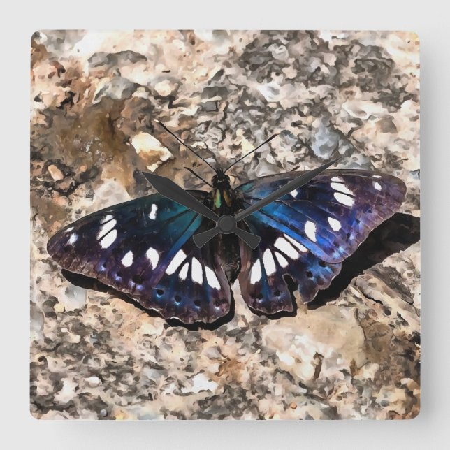 Southern White Admiral Blue Butterfly Painting Square Wall Clock (Front)