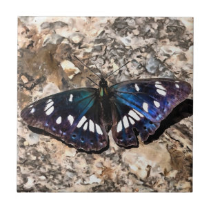 Southern White Admiral Blue Butterfly Painting Tile