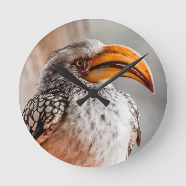Southern Yellow Billed Hornbill Round Clock (Front)