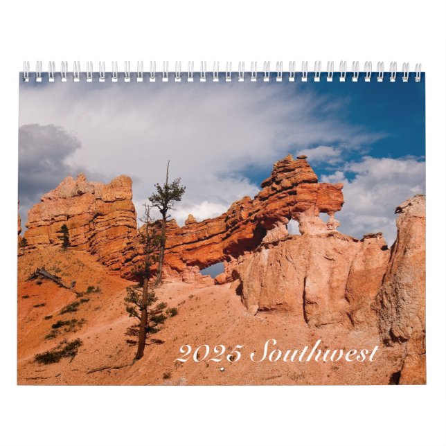 Southwest 2025 Calendar (Cover)