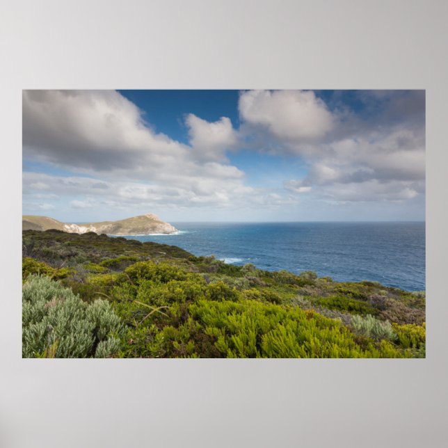 Southwest Australia, Albany Poster (Front)