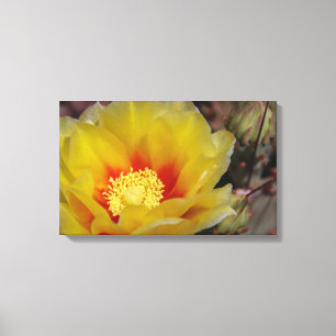 Southwest bloom canvas print