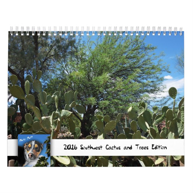 Southwest Cactus and Trees Edition by Photo Mutt Calendar (Cover)