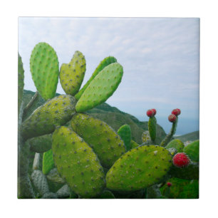 Southwest Cactus Prickly Pear Succulent Desert Tile