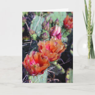 Southwest Christmas Card