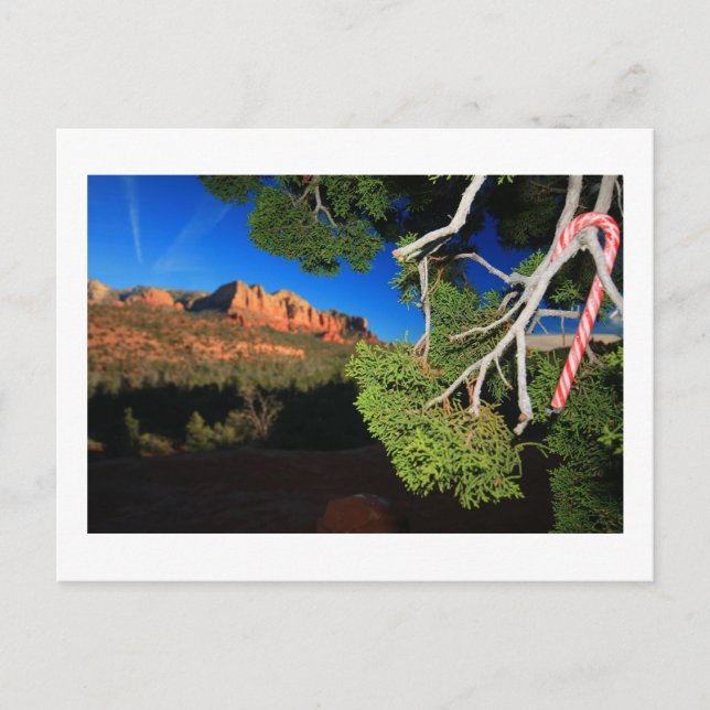 Southwest Christmas Holiday Postcard (Front)