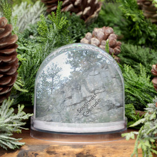 Southwest Colorado  Snowglobe