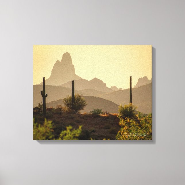 Southwest Desert Mountain Weaver's Needle AZ 20x16 Canvas Print (Front)