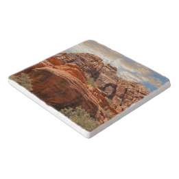 Southwest Mountain Scene Trivet
