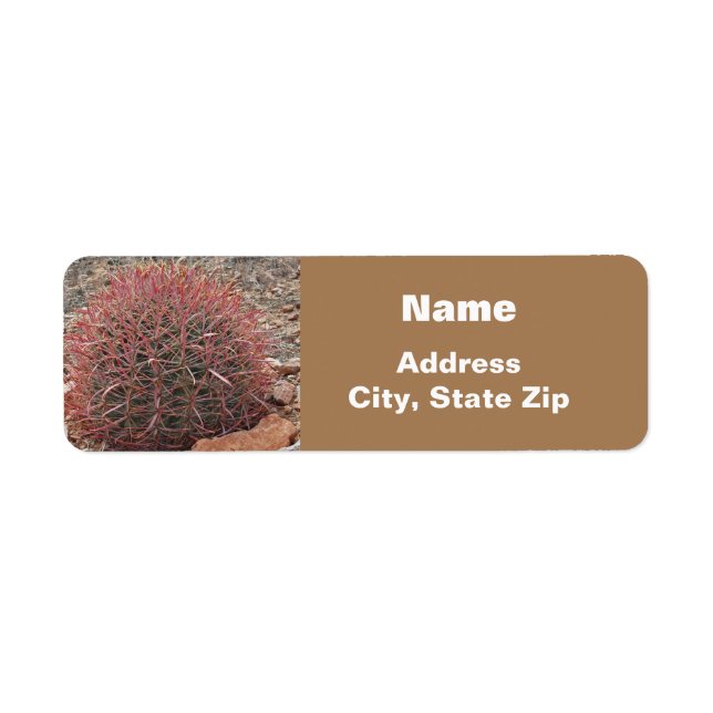 Southwest Style Desert Plant Red Barrel Cactus (Front)