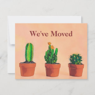 Southwest Theme Moving Announcement Potted Plants 