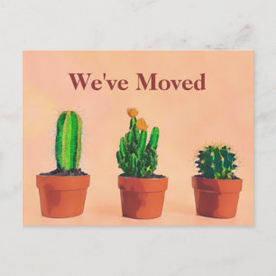 Southwest Theme Moving Announcement Potted Plants  Postcard