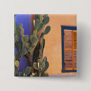 Southwestern Cactus (Opuntia dejecta) and 2 Inch Square Button