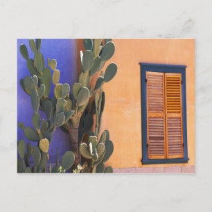 Southwestern Cactus (Opuntia dejecta) and Postcard