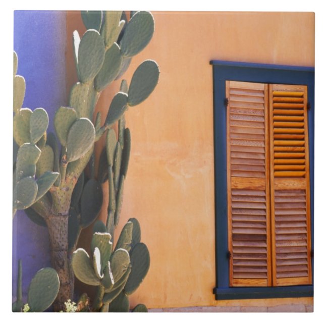 Southwestern Cactus (Opuntia dejecta) and Tile (Front)