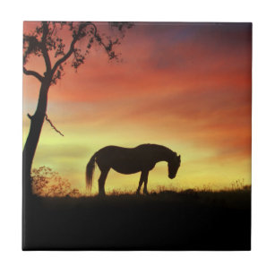 Southwestern Colour Horse in Sunrise Tile