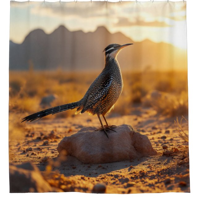 Southwestern Desert Roadrunner at Sunrise  (Front)