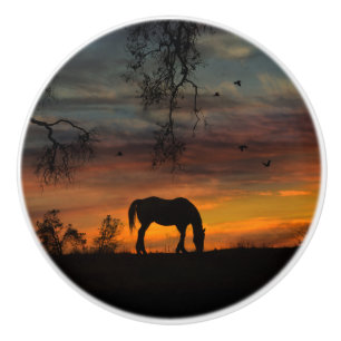 Southwestern Horse Knobs and Pulls Decor