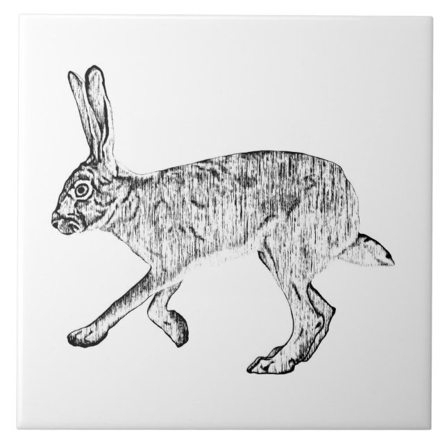 Southwestern Jackrabbit  Pen and Ink Art Tile (Front)