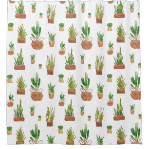Southwestern Potted Plants