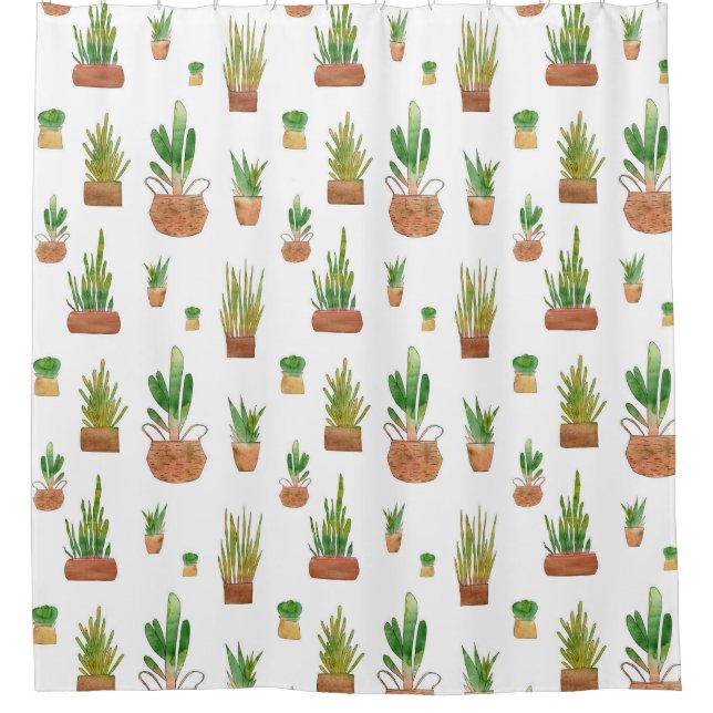 Southwestern Potted Plants (Front)