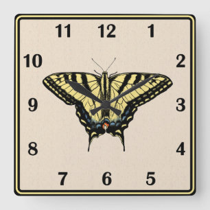 Southwestern Yellow Swallowtail Butterfly  Square Wall Clock