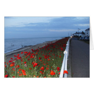 Southwold and Poppies at dusk blank card