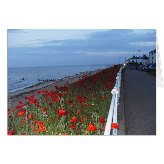 Southwold and Poppies at dusk blank card (Front Horizontal)