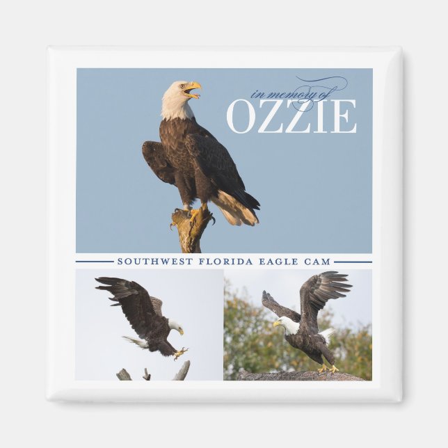 Souvenir d'Ozzie Magnet (Devant)