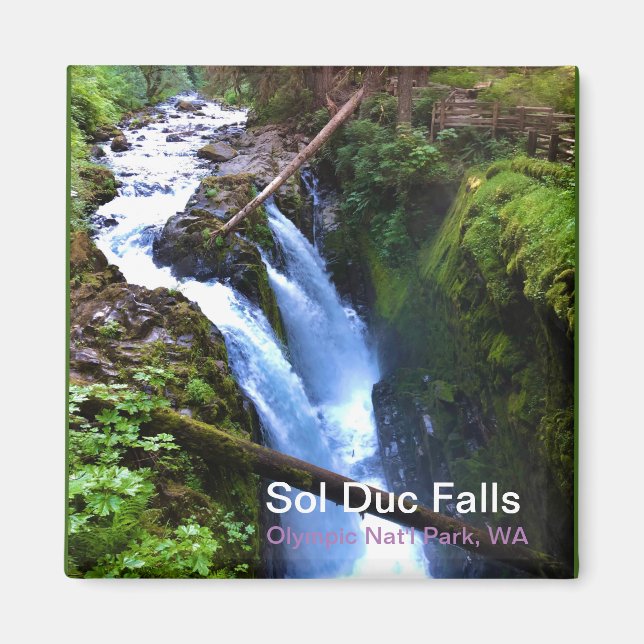 Souvenir Magnet: Sol Duc Falls, Olympic Nat'l Park Magnet (Front)