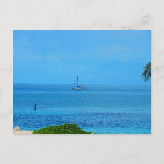 Souvenir of the Bahama Islands Postcard (Front)